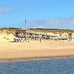 Strandhafer