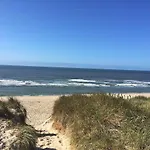 Strandhafer