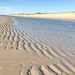 Strandhafer