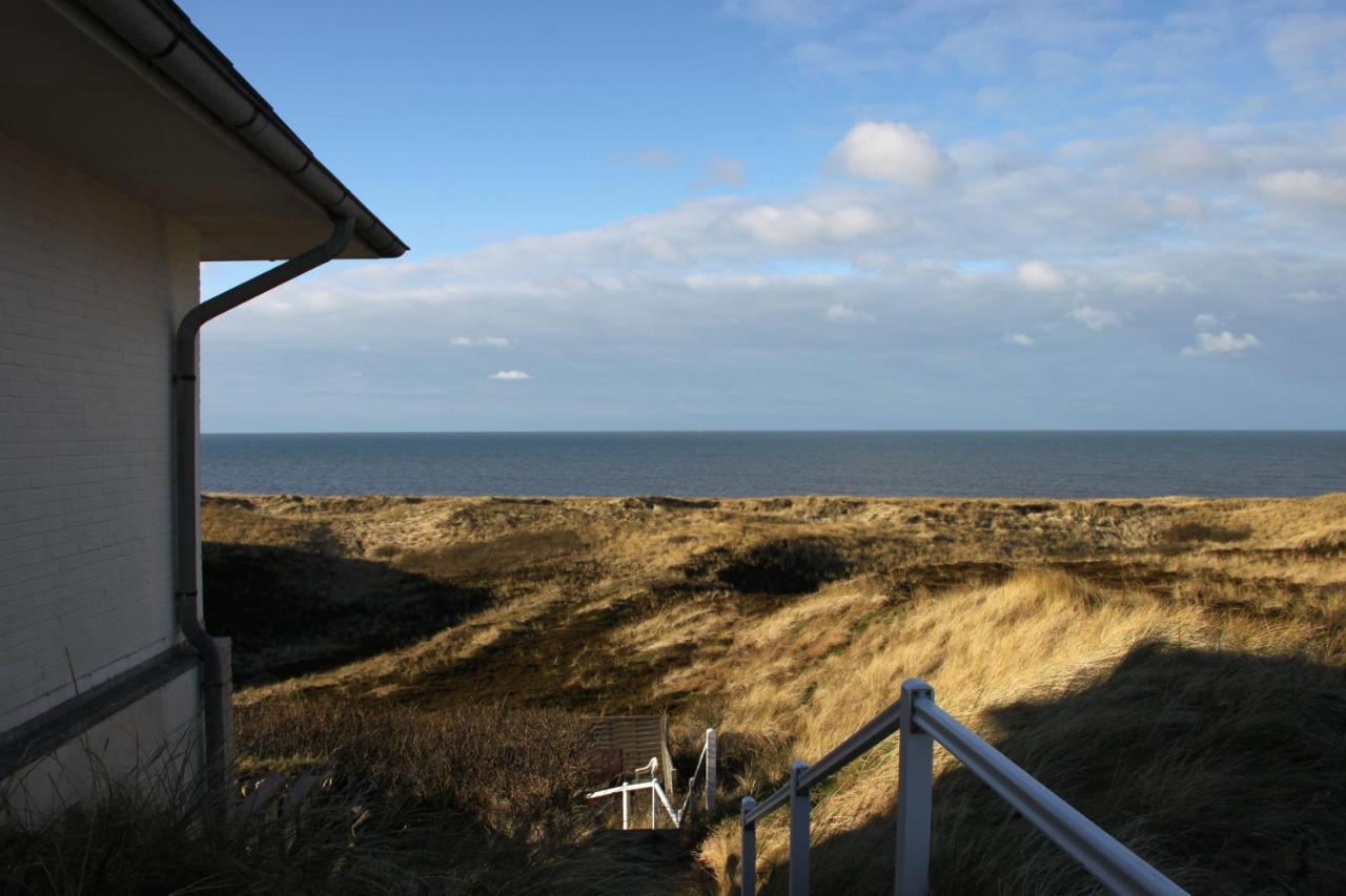 Strandhafer *